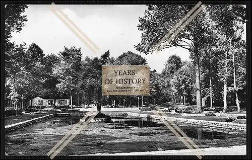 Foto Dingelstädt Eichsfeld Thüringen am Rieth Partie am Teich DDR