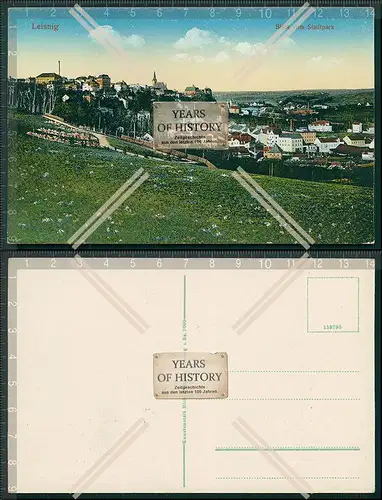 AK Leisnig Blick vom Stadtpark 1913