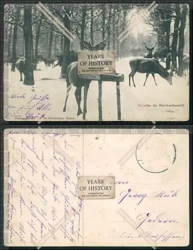 AK Holzhausen Reinhardswald Immenhausen Hessen Hirsche Winter 1911 gelaufen