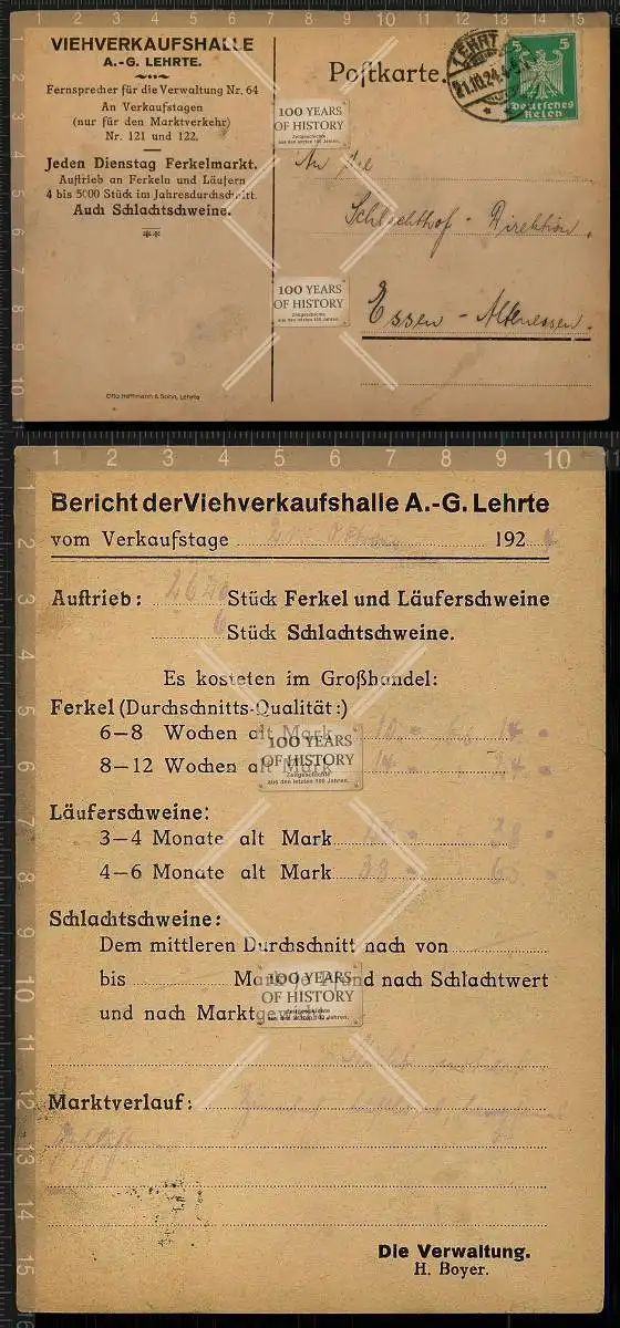 Original Postkarte Lehrte A. G. Viehverkaufshalle nach Essen Altenessen 1923-24