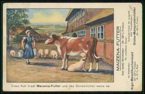 AK Reklame Maizena Futter Bauernhof Bäuerin Schwein trinkt aus Kuheuter Milch