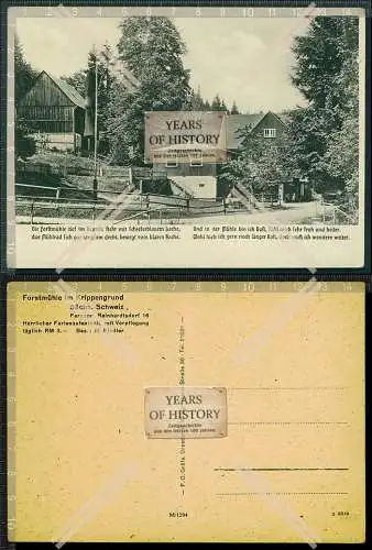 Orig. AK Krippen Bad Schandau Forstmühle im Krippengrund Elbgebirge 1938
