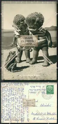 AK Mecki der Igel Igelkinder am Strand Frosch Sorg für schönes Wetter