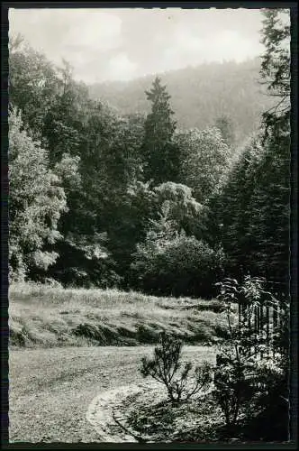 Foto AK Schladern Windeck Sieg Pension Haus Schöneck Park Ilse Kaegelmann