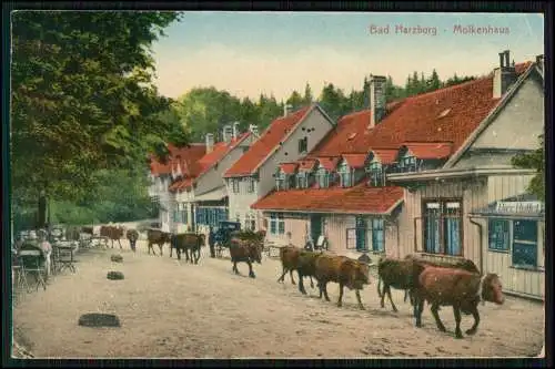 AK Bad Harzburg am Harz Molkenhaus Viehzug 1920 gelaufen