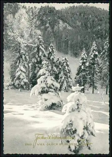 12x Ansichtskarte Postkarte Weihnachten Neujahr Glückwünsche Ansichten u. Motive