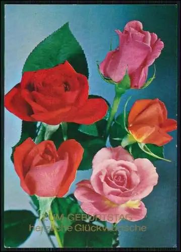 11x Postkarte Geburtstag Glückwünsche diverse Ansichten mit schönen Motiven