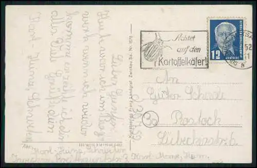 AK Zwickau Sachsen Schwanenteich Dom Kartoffelkäfer Stempel DDR gelaufen