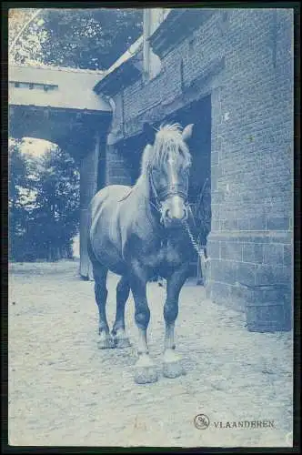 AK 1. WK Vlaanderen Flandern Belgien Feldpost 1917 nach Essen Frintrop gel. Nr.3