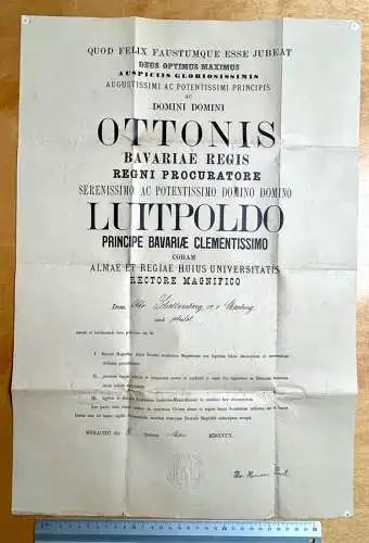 Orig Urkunde o.ä. 55x37 Ludwig-Maximilians-Universität München 1910 Präge Siegel