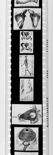 50x Dia 1933-39 kompletter Film - Der Bau des menschlichen Körpers Organe uvm.