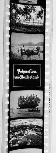 35x Dia 1933-39 kompletter Film - Australien Polargebiete Polynesien Neuseeland