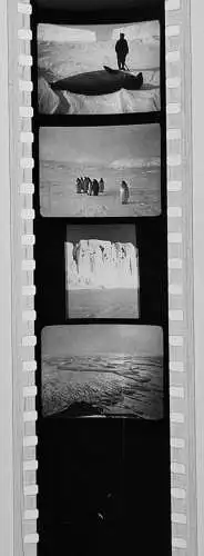 35x Dia 1933-39 kompletter Film - Australien Polargebiete Polynesien Neuseeland