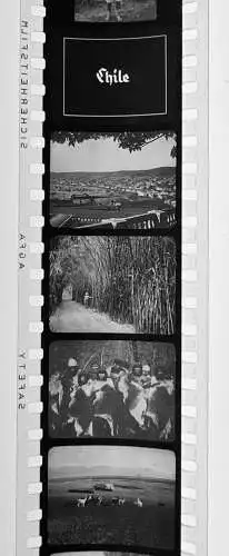 46x Dia 1933-39 kompletter Film - Mittel und Südamerika Peru Bolivien Chile uvm.