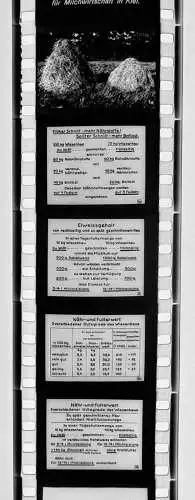 42x Dia 1933 kompletter Film - Bauer zweckmäßige Nutzung von Gras und Klee uvm.