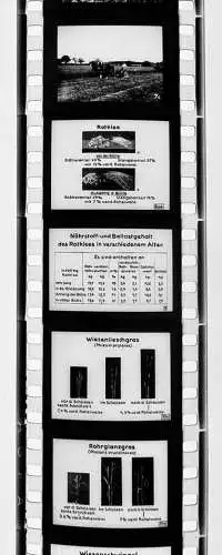 42x Dia 1933 kompletter Film - Bauer zweckmäßige Nutzung von Gras und Klee uvm.