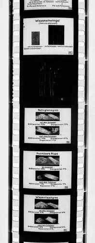 42x Dia 1933 kompletter Film - Bauer zweckmäßige Nutzung von Gras und Klee uvm.