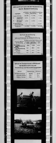 42x Dia 1933 kompletter Film - Bauer zweckmäßige Nutzung von Gras und Klee uvm.