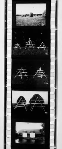 42x Dia 1933 kompletter Film - Bauer zweckmäßige Nutzung von Gras und Klee uvm.