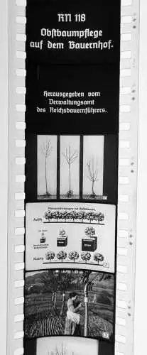 30x Dia 1933 kompletter Film - Obstbaumpflege Bauernhof Hrsg. Reisbauernführer