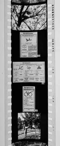 30x Dia 1933 kompletter Film - Obstbaumpflege Bauernhof Hrsg. Reisbauernführer