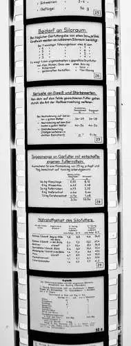 43x Dia 1933 kompletter Film - Gärfuttergewinnung Verwendung Bauer Landwirt uvm.