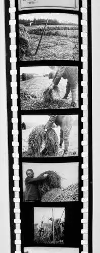 27x Dia 1933 kompletter Film - Neuezeitliche Heuwerbung Hrsg. Reisbauernführer