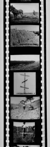 27x Dia 1933 kompletter Film - Neuezeitliche Heuwerbung Hrsg. Reisbauernführer