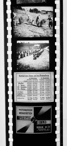 27x Dia 1933 kompletter Film - Neuezeitliche Heuwerbung Hrsg. Reisbauernführer