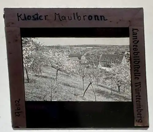 Dia 1936 Kloster Maulbronn 5 x 5 cm Landesbildstelle Württemberg