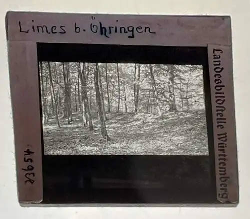 Dia 1936 Limes bei Öhringen Waldpartie 5 x 5 cm Landesbildstelle Württemberg