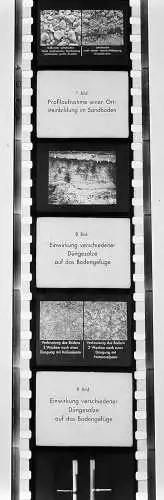 ca.30x Dia 1933 kompletter Film Bodenbearbeitung Landwirtschaft Bauer Pflug uvm.