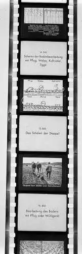 ca.30x Dia 1933 kompletter Film Bodenbearbeitung Landwirtschaft Bauer Pflug uvm.