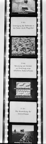 ca.30x Dia 1933 kompletter Film Bodenbearbeitung Landwirtschaft Bauer Pflug uvm.