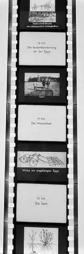 ca.30x Dia 1933 kompletter Film Bodenbearbeitung Landwirtschaft Bauer Pflug uvm.