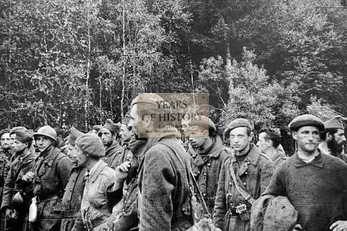 Repro Foto no Original 10x15cm Gefangene Soldaten Frankreich Belgien
