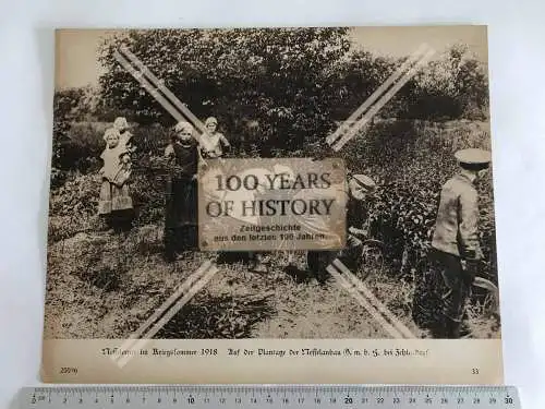 Orig. Foto Karton 1. WK Nesselernte 1918 bei Berlin Zehlendorf 30 x 24 cm