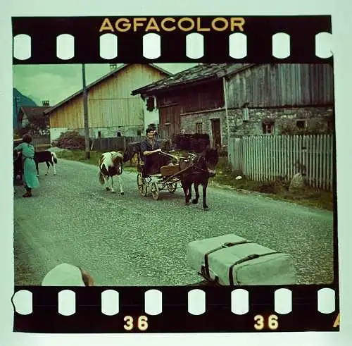 Original Negativ Farbdia Agfacolor 1941-43 Dorf in Bayern Pony mit Kutsche uvm.