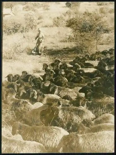 5x Foto 23x17cm - Johannesburg Südafrika neue Siedlungen am Rande der Stadt uvm.