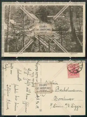 AK Bad Meinberg Teutoburger Wald Gasthaus Silbermühle Detmold Lippe 1919 gel.