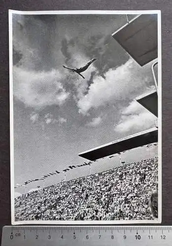 Marshall Wayne - USA Amerikanischer Wasserspringer - OLYMPIA 1936 Sammelbild 100