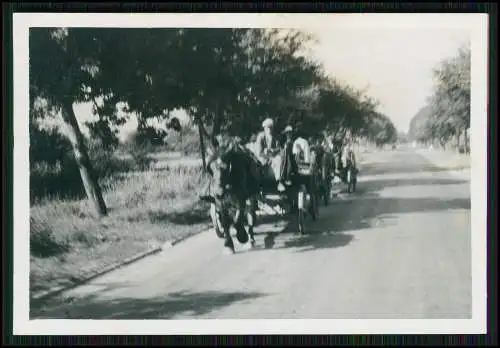 3x Foto Flüchtlinge mit Pferd und Kutsche Fahrzeuge Belgien Frankreich 1940-41