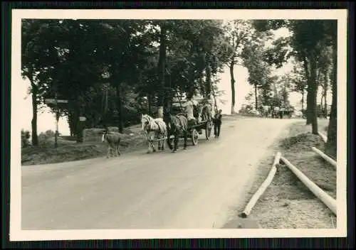 3x Foto Belgien Frankreich Kriegszerstörungen in den Straßen 1940-42