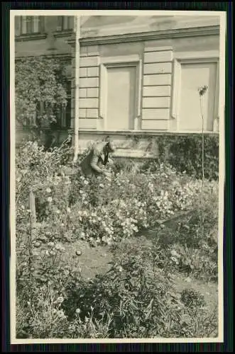 15x Foto bei Ralbitz-Rosenthal ? Niederkaina ? Sachsen Bautzen Oberlausitz 1943