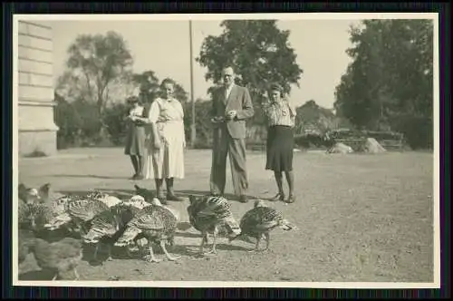 15x Foto bei Ralbitz-Rosenthal ? Niederkaina ? Sachsen Bautzen Oberlausitz 1943