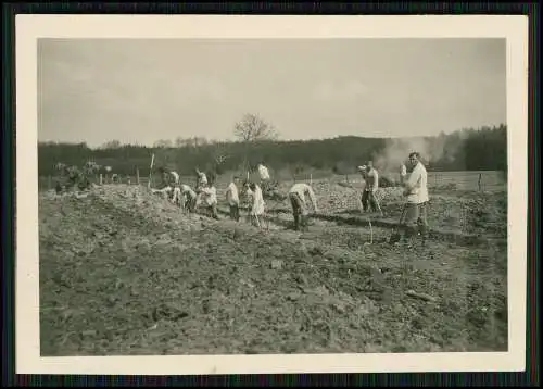 7x Foto Beelen Ennigerloh RAD Ausbau von Merschbach Geisterbach Beilbach 1938