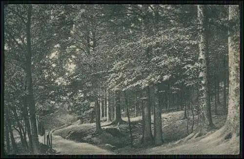 AK Ansichtskarte Postkarte Hagen in Westfalen Partie an der Waldlust 1926 gel.