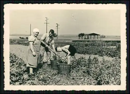21x Foto Banner Aufschrift Meisterschaft Erfttal Erftstadt Linden Hellenthal ?