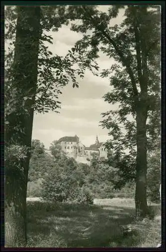 AK Goseck Sachsen Anhalt Schloss Jugendherberge Arthur Weisbrodt Sicht von Saale