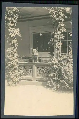 22x Foto Reise durch Bayern und Österreich Dörfer, Wandern, Bergsteigen 1920-30